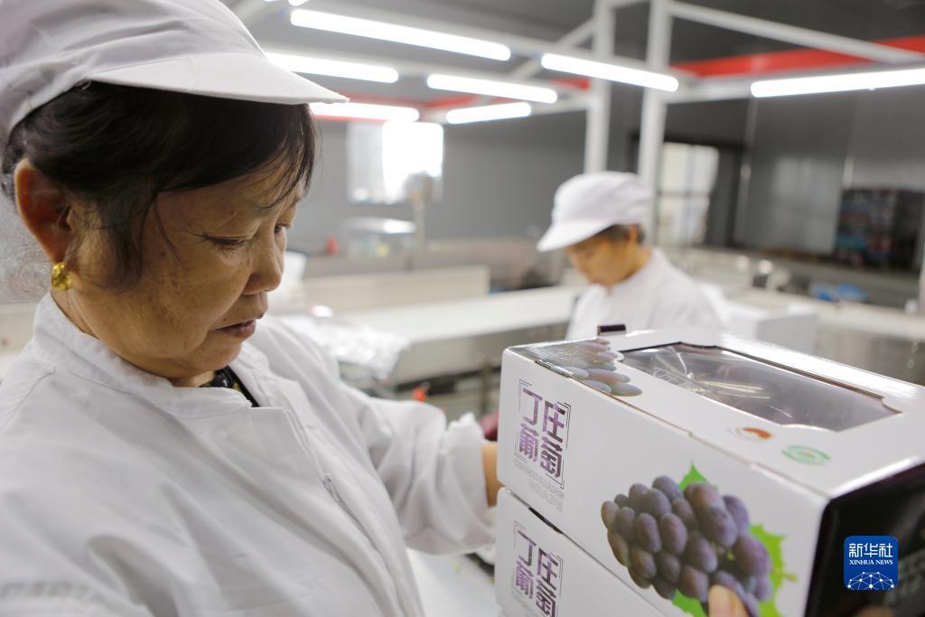 318全迅网送38彩金